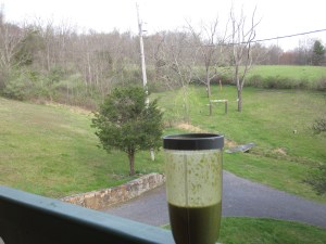 Author Ashley Crookham 2nd story porch picture 1